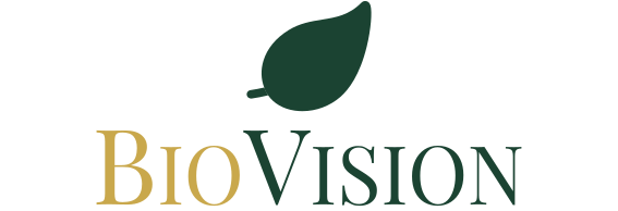 bv logo list3
